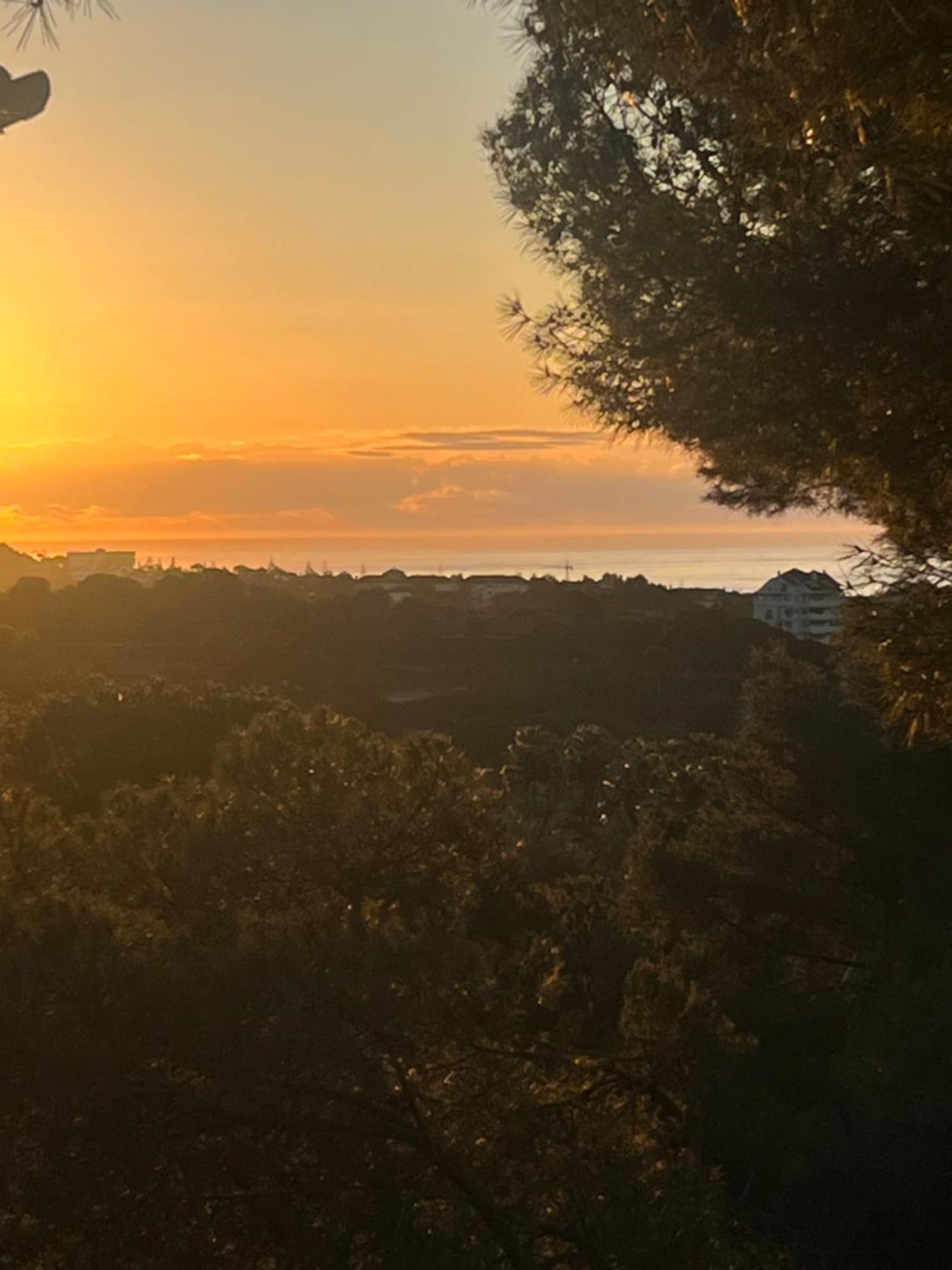 F Up, Rio Real, Marbella